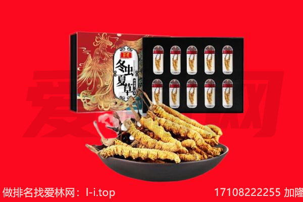 克拉玛依市回收虫草.jpg